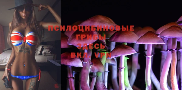 альфа пвп Баксан